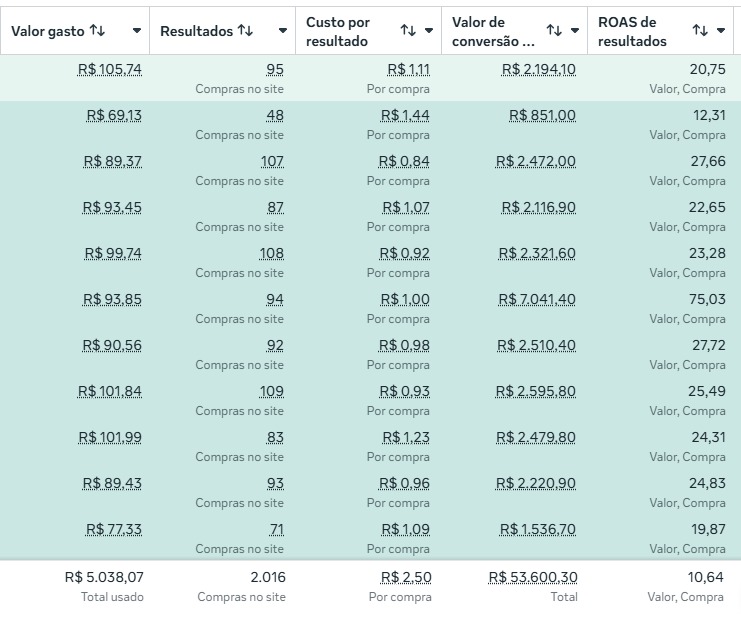 Captura 7 de resultados do painel de anúncios: investimento R$ 5.038,07, valor de conversão R$ 53.600,30 e ROAS 10,64